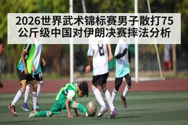 2026世界武术锦标赛男子散打75公斤级中国对伊朗决赛摔法分析